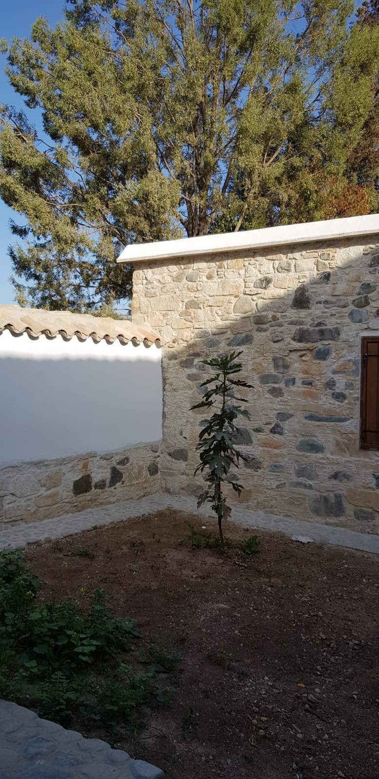 8 BR Detached house in Kampia, Nicosia photo 19