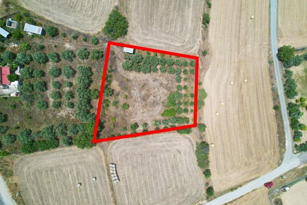 Residential field in Pera, Nicosia photo 1
