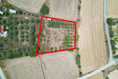 Residential field in Pera, Nicosia thumbnail 1