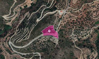 (Share) Agricultural Field in Vavatsinia, Larnaca thumbnail 1