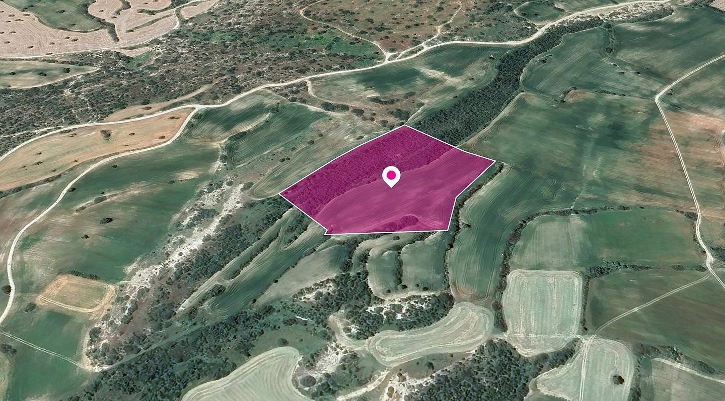 Agricultural Field in Agios Theodoros, Larnaca photo 3