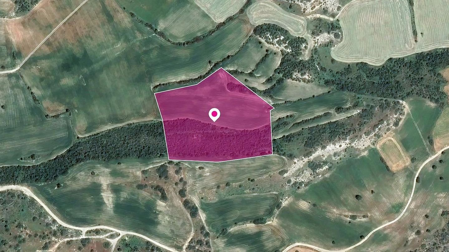 Agricultural Field in Agios Theodoros, Larnaca photo 1