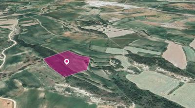 Agricultural Field in Agios Theodoros, Larnaca thumbnail 2