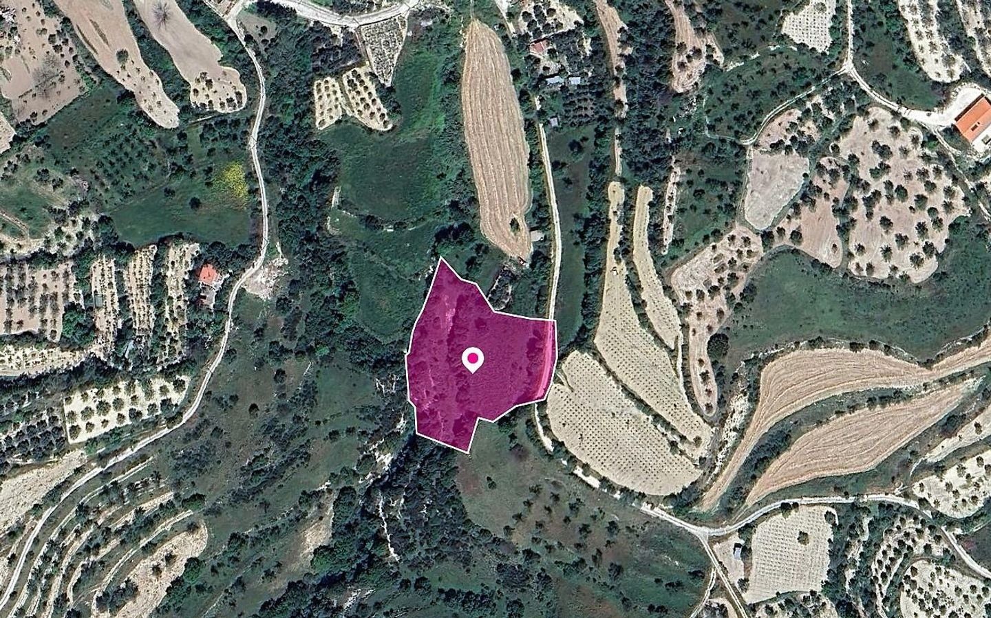 Field, Kallepeia, Paphos photo 1