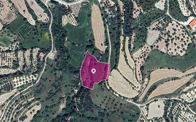Agricultural Field in Kallepeia, Paphos thumbnail 1