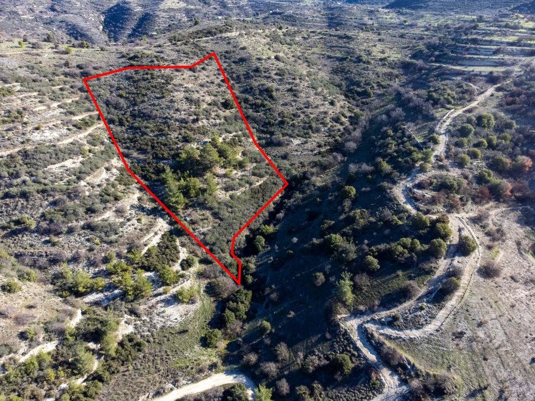 Field in Mousere, Paphos photo 2
