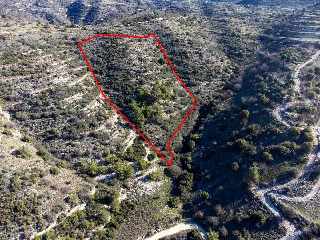 Field in Mousere, Paphos photo 3