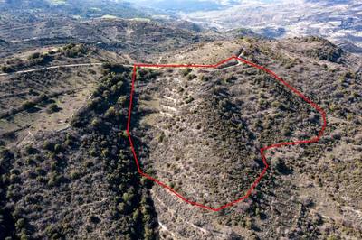 Field in Dora, Limassol thumbnail 1