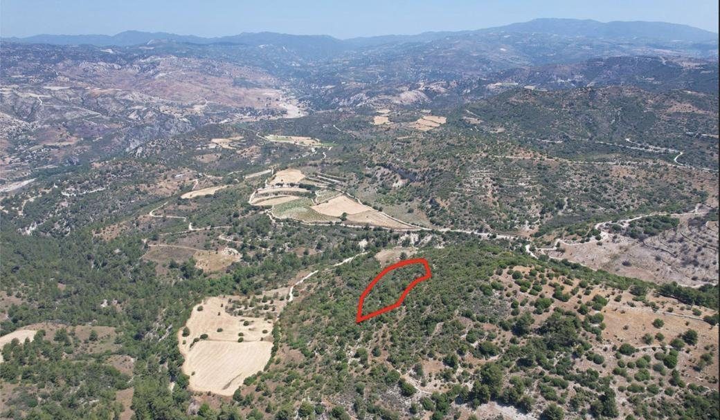 Field in Mousere, Paphos photo 1