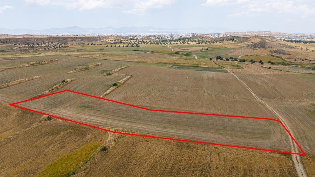 Shared agricultural field in Pera, Nicosia — photo 3