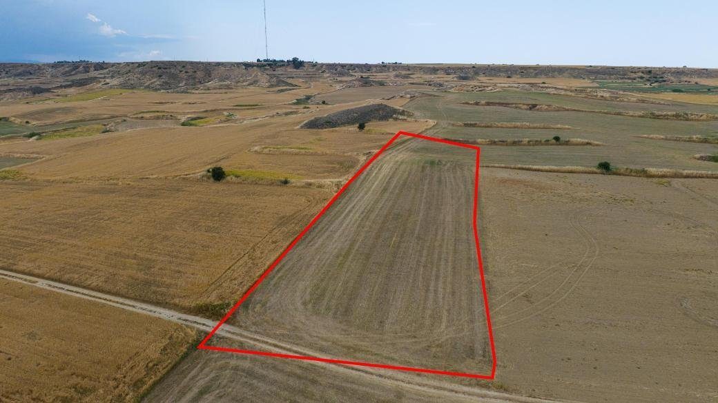 Shared agricultural field in Pera, Nicosia — photo 4