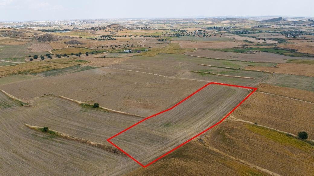 Shared agricultural field in Pera, Nicosia — photo 2