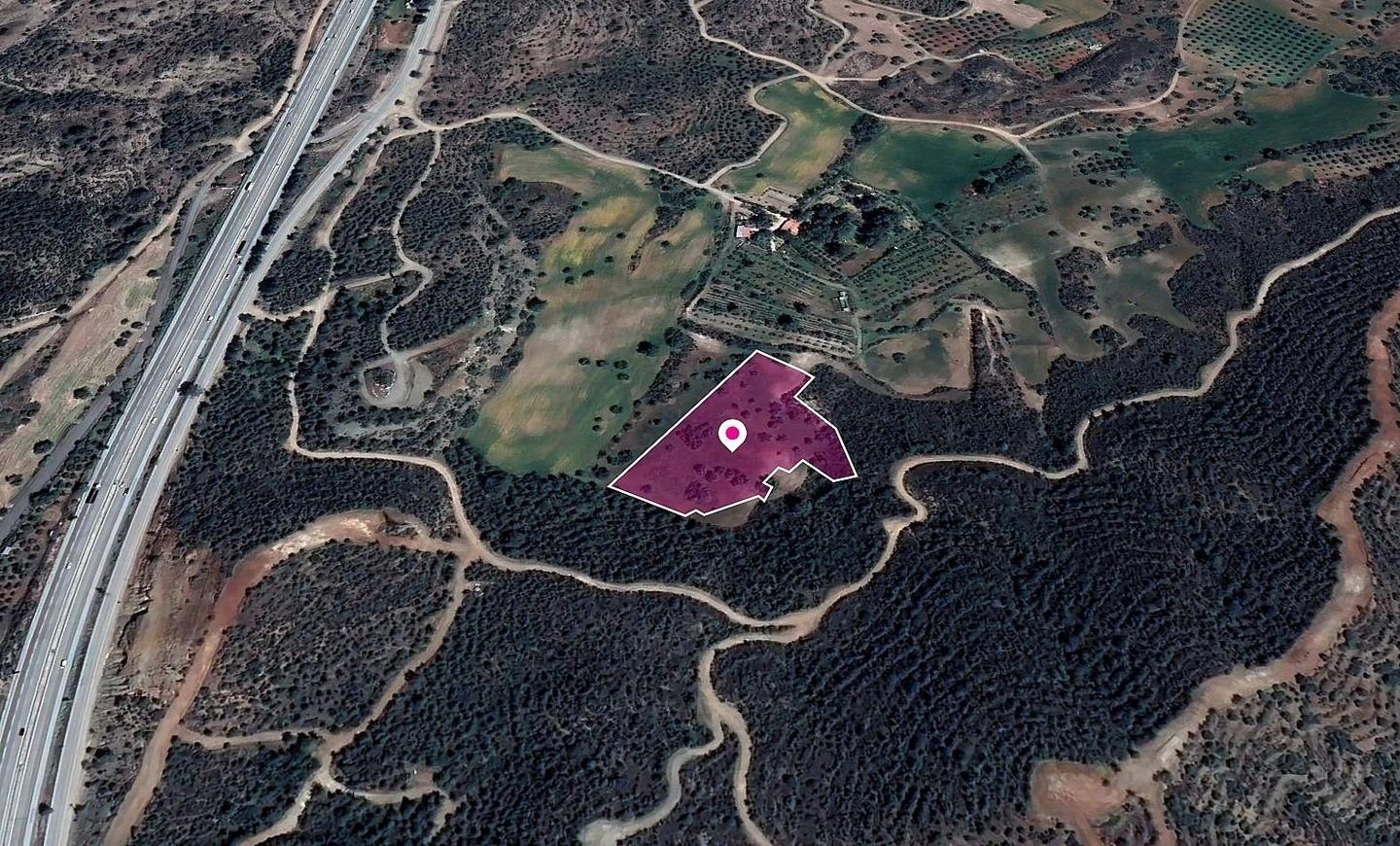 Special Protection Field, Kofinou photo 1