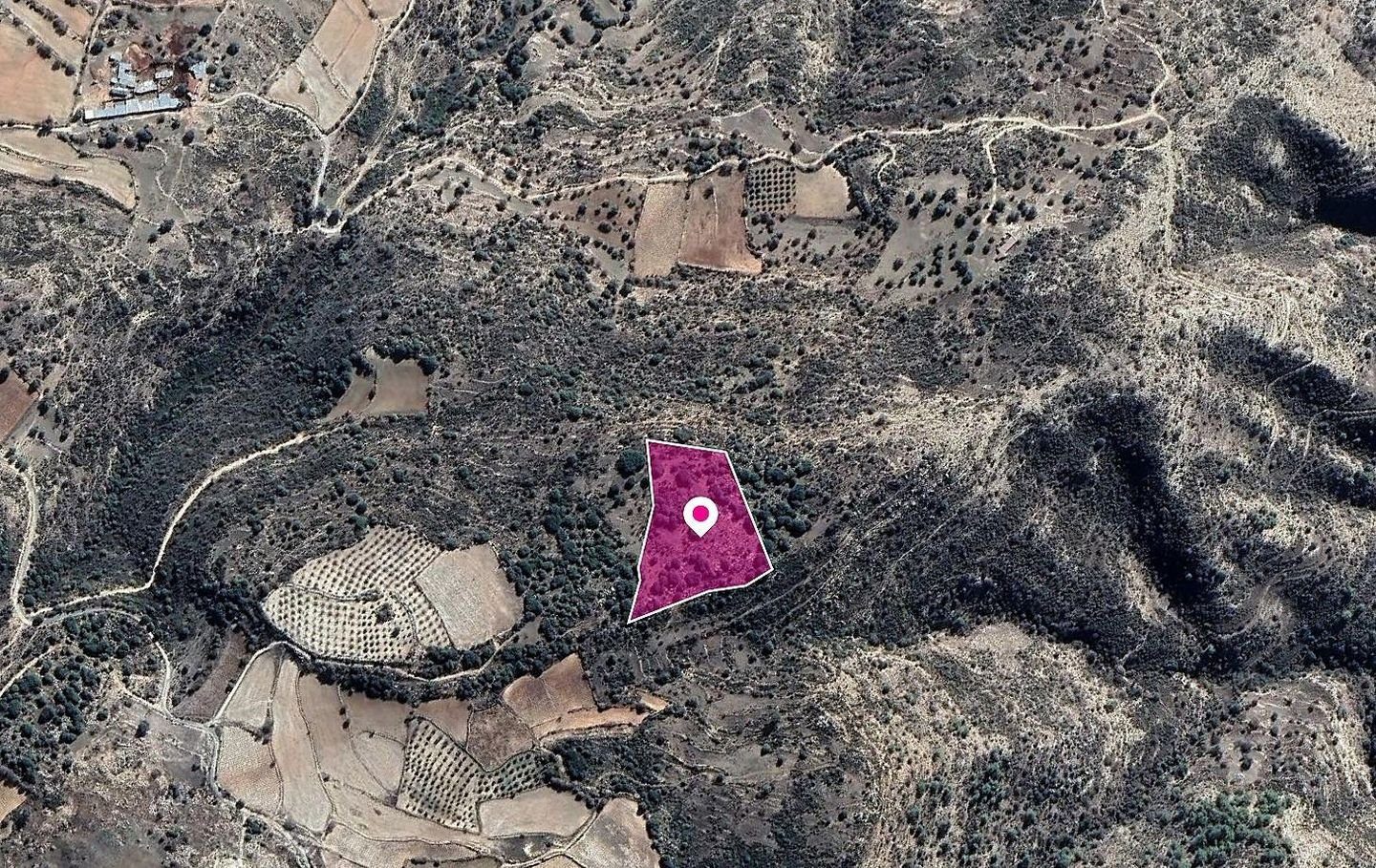 Field in Dora, Limassol photo 2