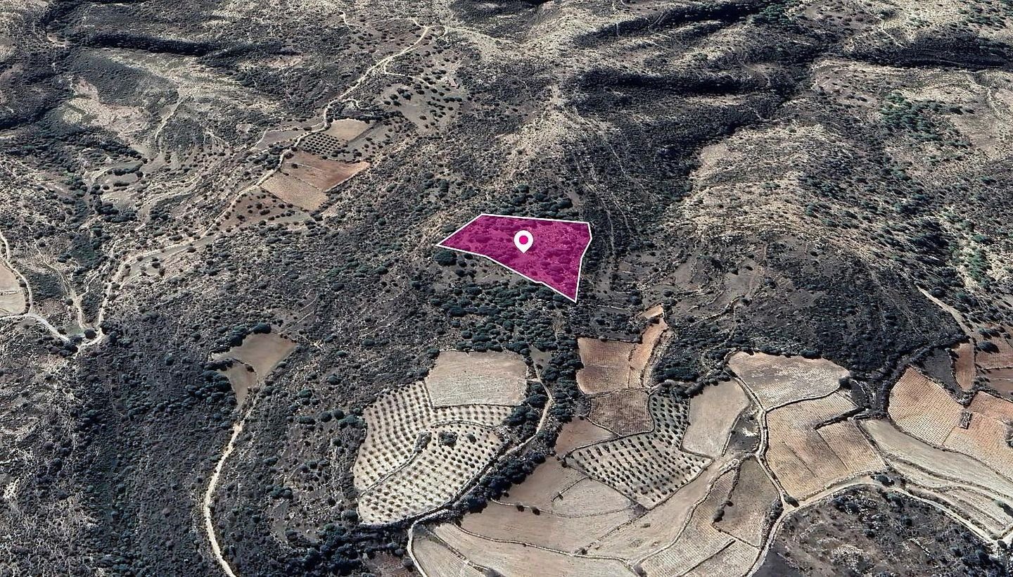 Field in Dora, Limassol photo 1