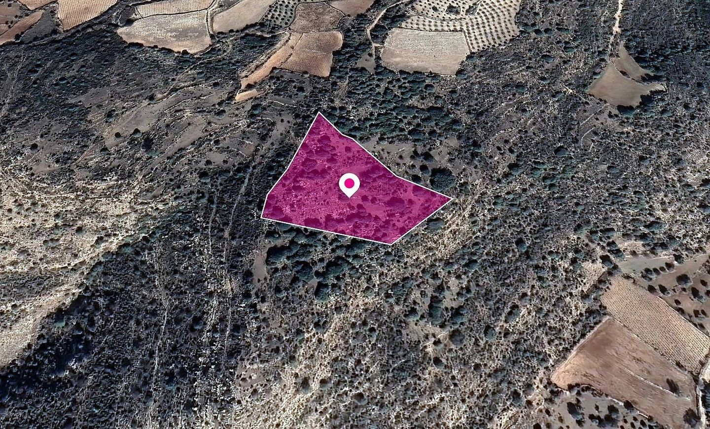Field in Dora, Limassol photo 3