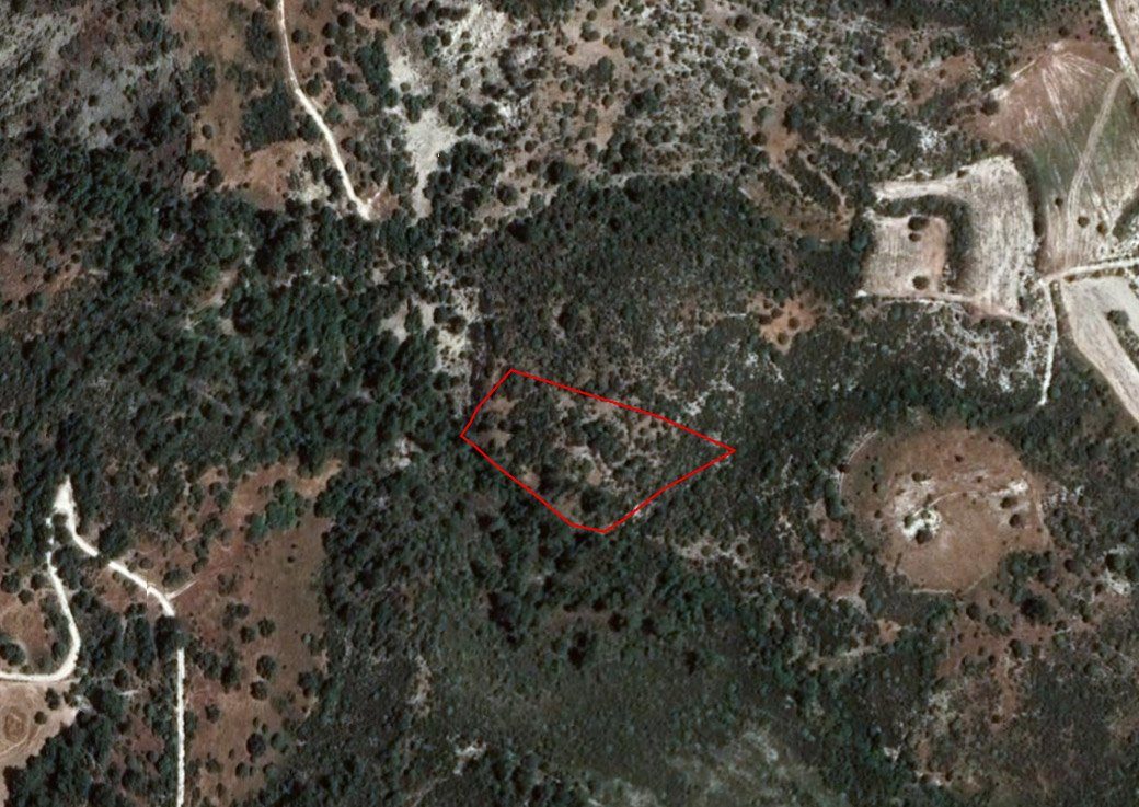 Field in Dora, Limassol photo 1