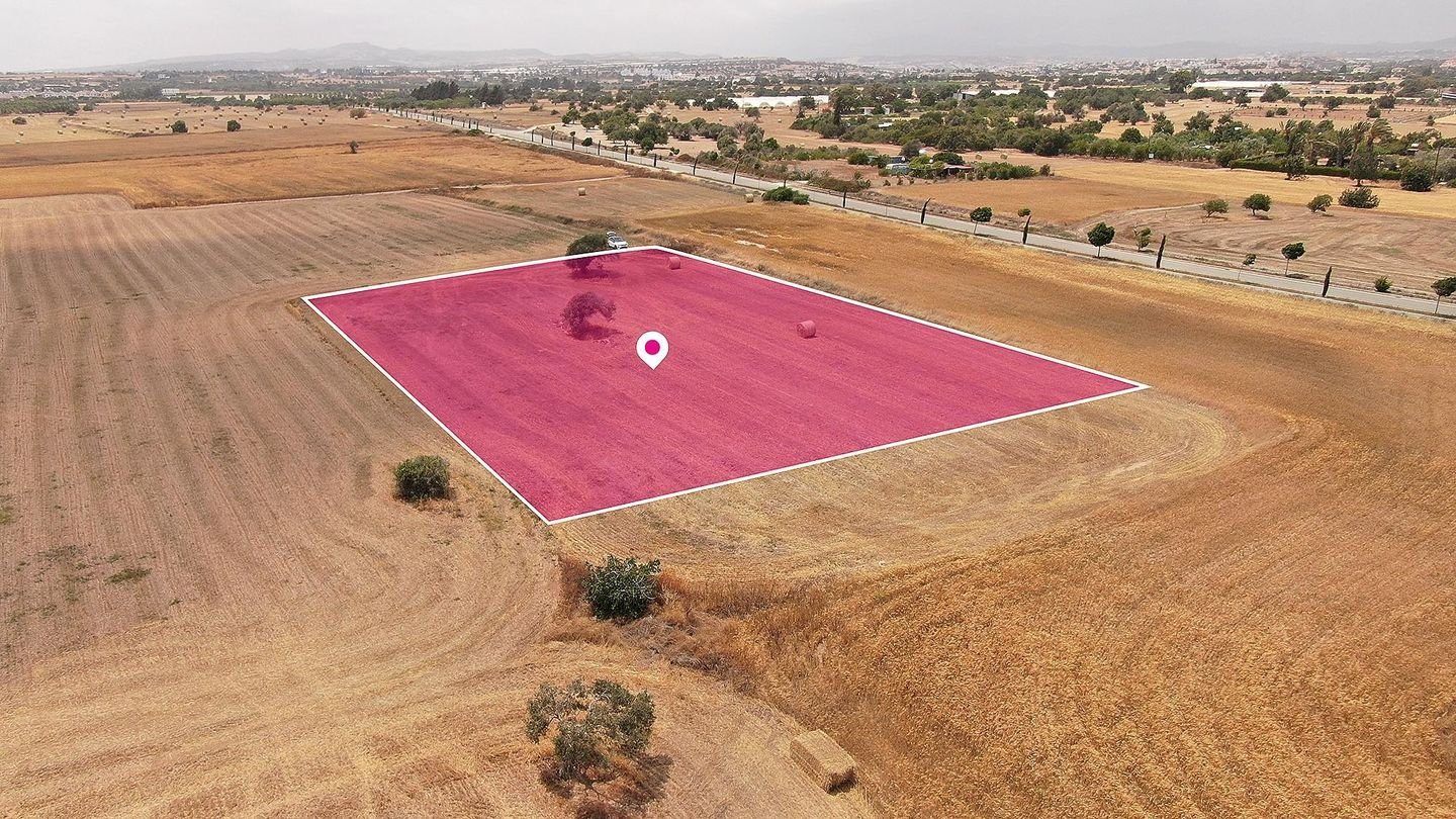 Touristic Field in Mazotos, Larnaca photo 4