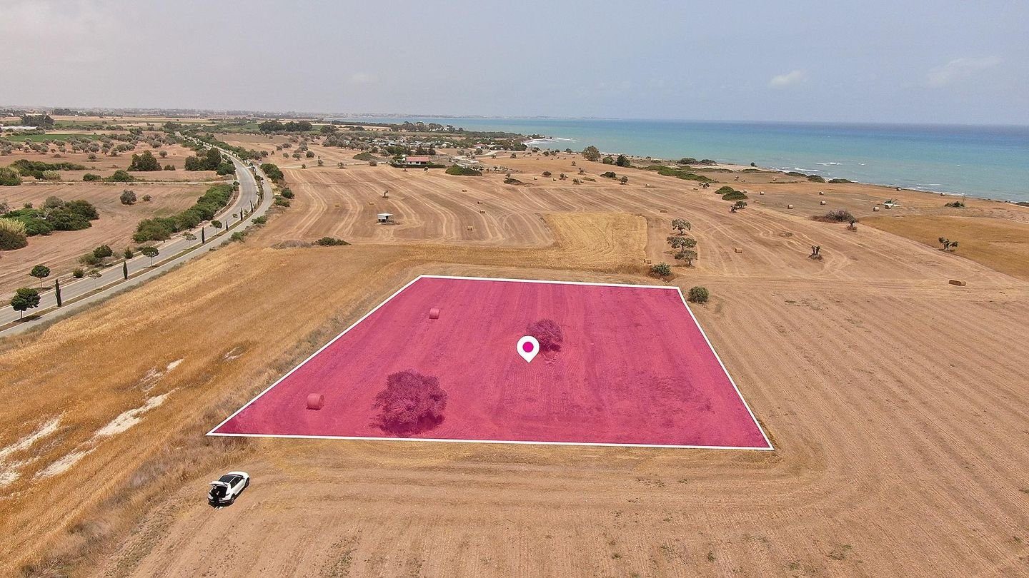 Touristic Field in Mazotos, Larnaca photo 3