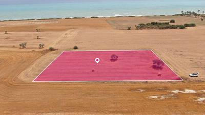 Touristic Field in Mazotos, Larnaca thumbnail 1