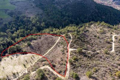 Field in Dora, Limassol thumbnail 2
