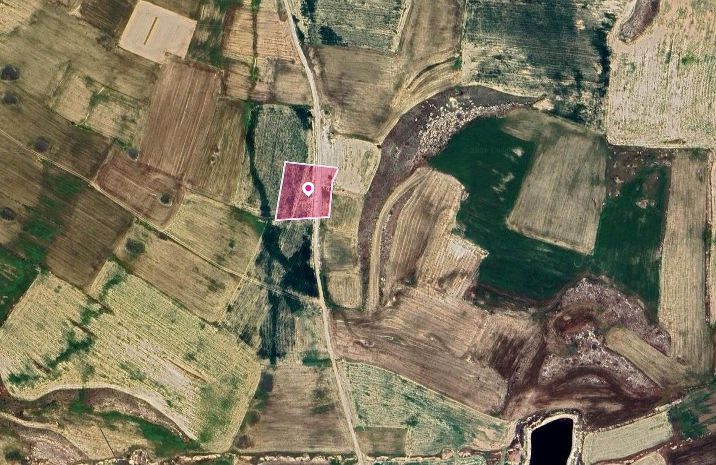 Agricultural field in Kokkinotrimithia, Nicosia