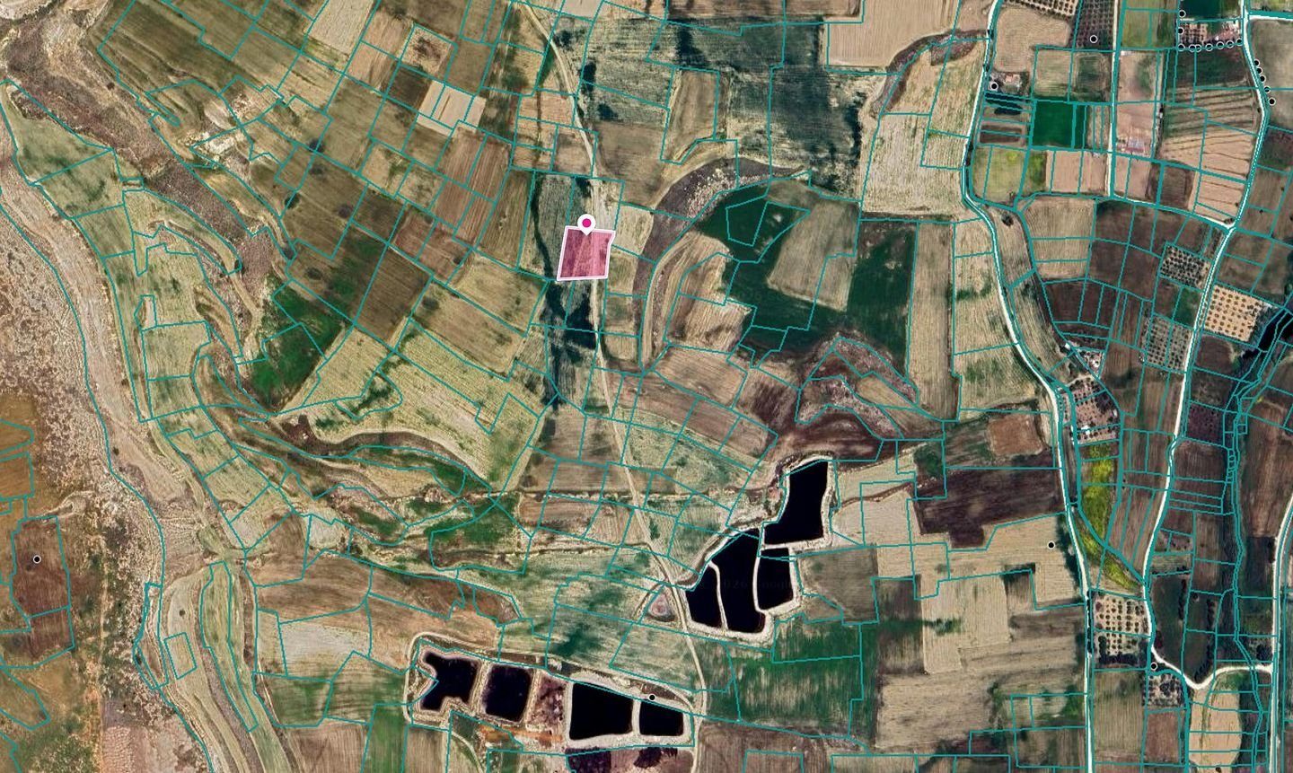 Agricultural field in Kokkinotrimithia, Nicosia — photo 2