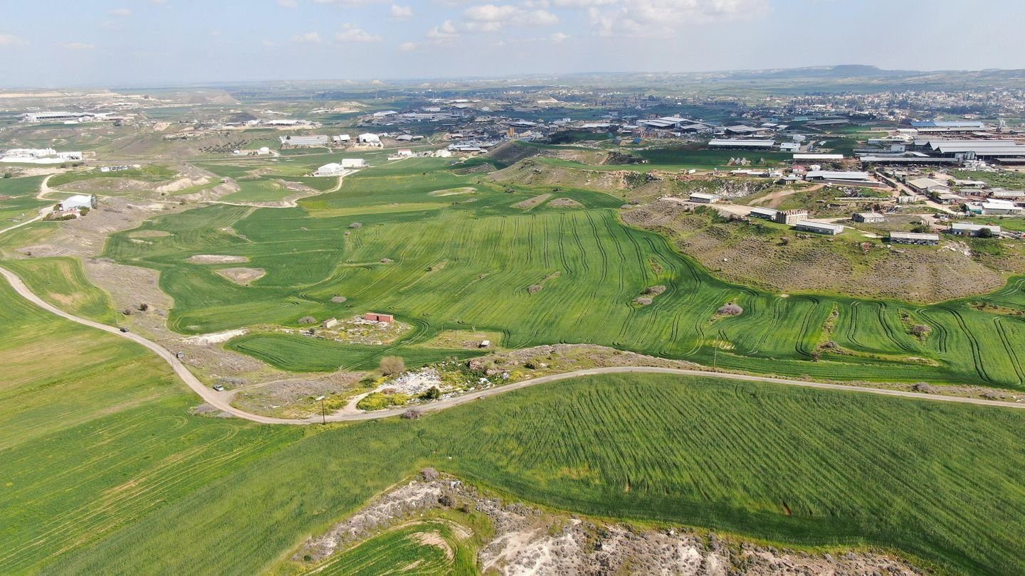 Agricultural field, Nisou photo 4