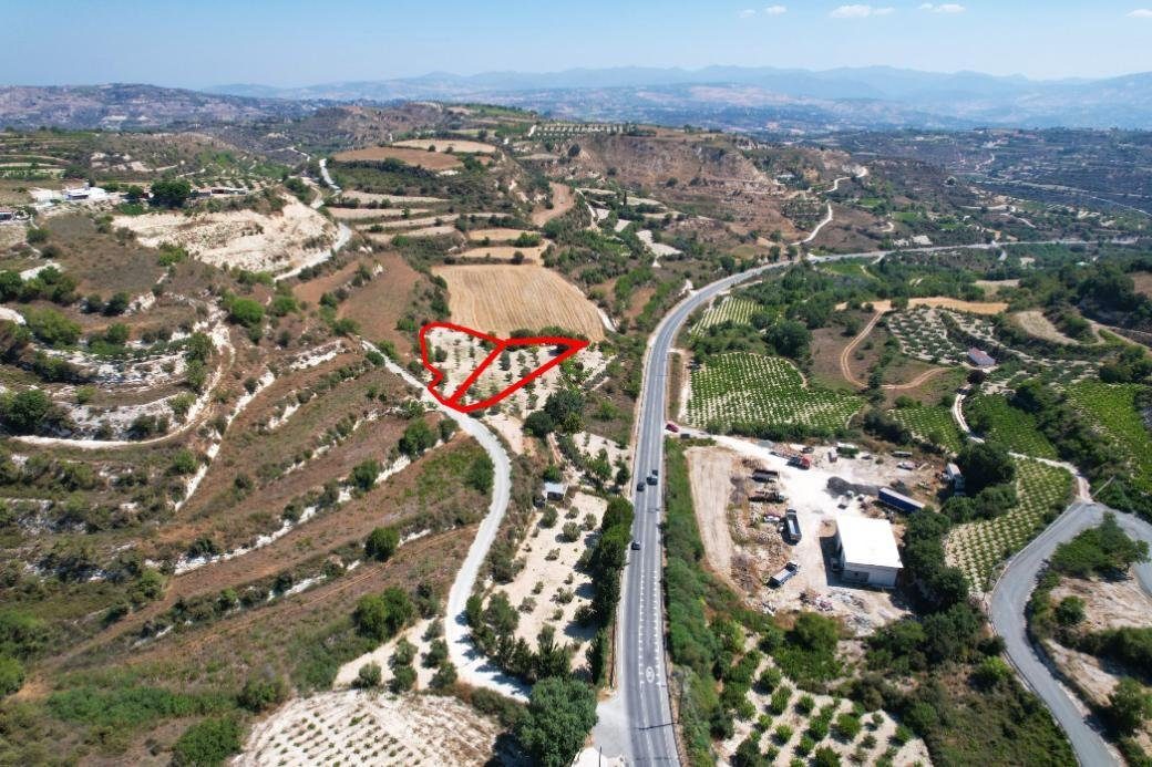 Two residential fields in Tsada, Paphos photo 3