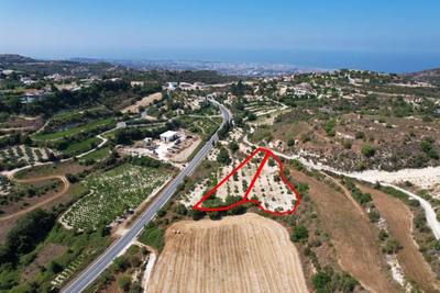 Two residential fields in Tsada, Paphos thumbnail 2
