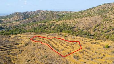 Field in Agia Marina Xyliatou, Nicosia thumbnail 3