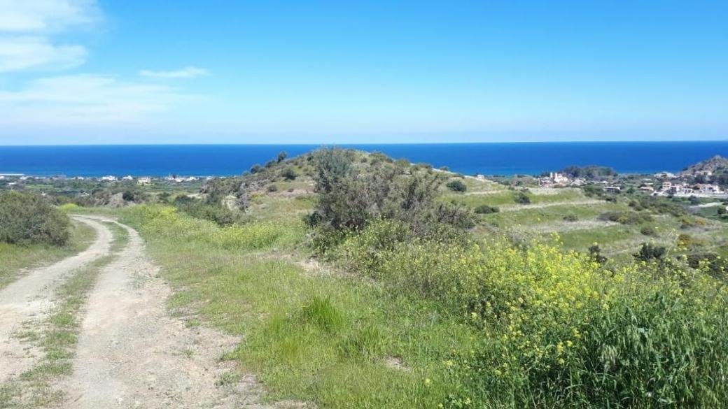 Residential field in Kato Pyrgos, Nicosia photo 2