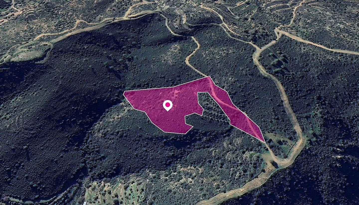 Special Protection Field in Lageia, Larnaca photo 1