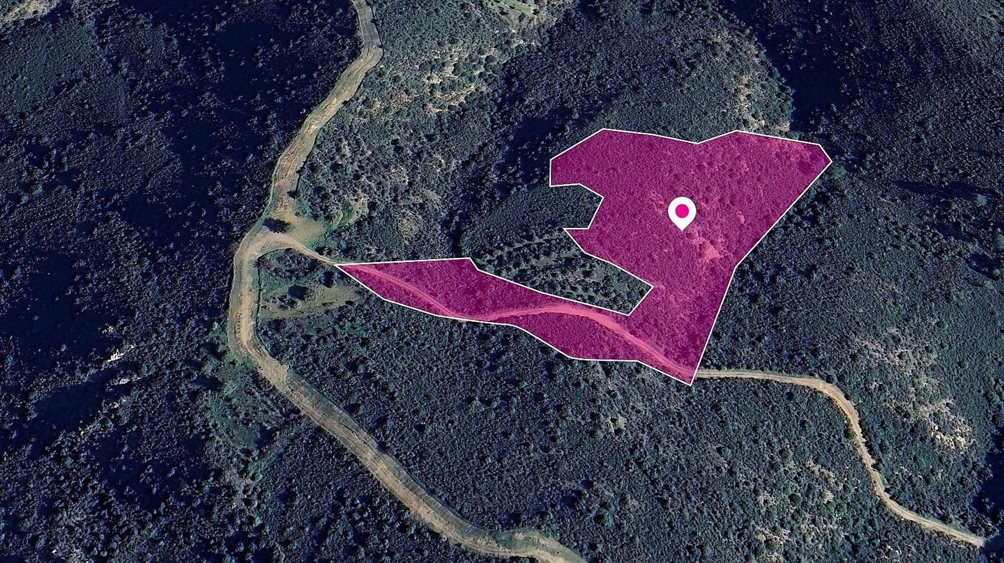 Field in Lageia, Larnaca photo 3