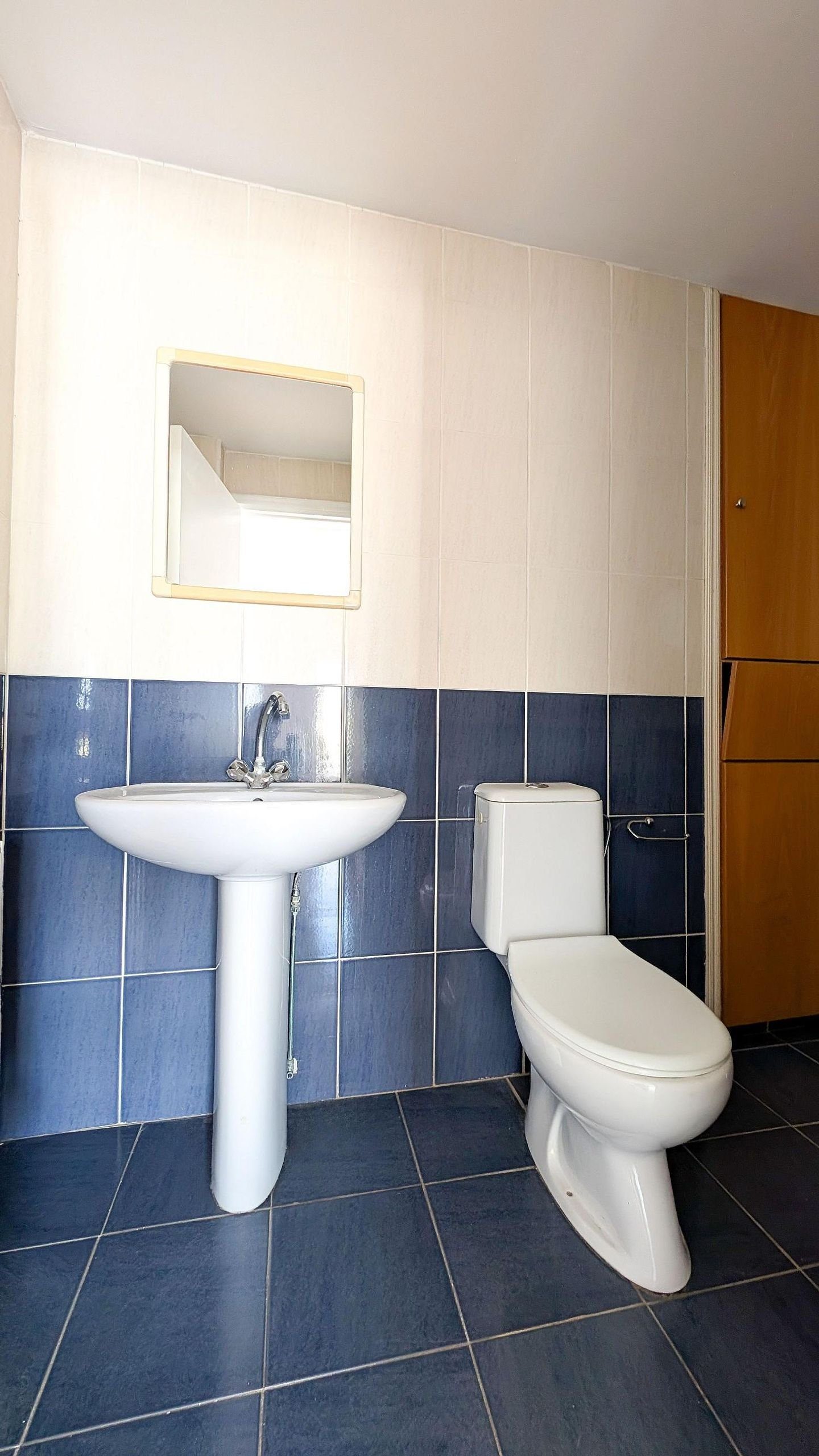Top Floor Three-Bedroom apartment in Aglantzia, Nicosia photo 9