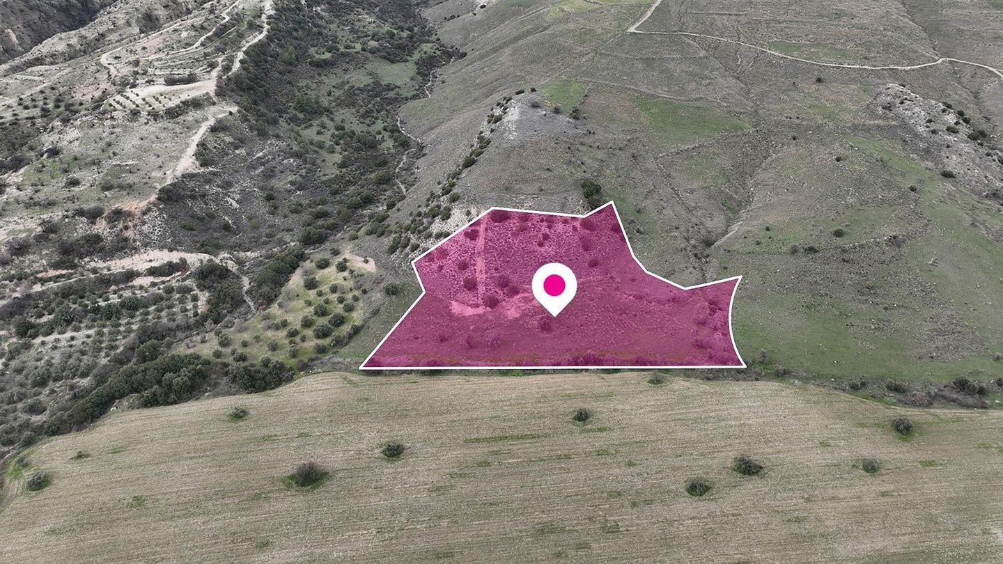 Field in Agios Dimitrianos, Paphos photo 1