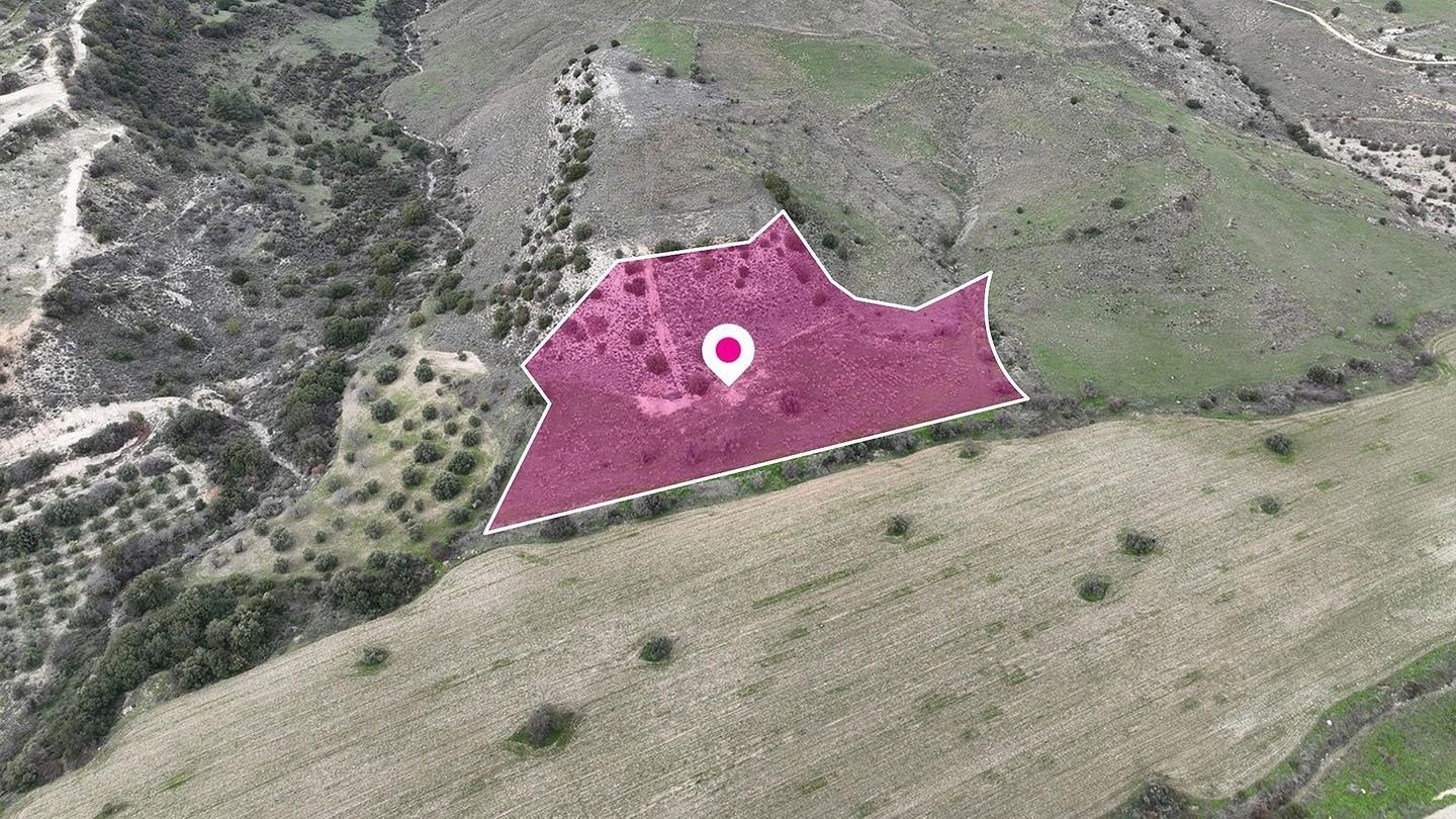 Field in Agios Dimitrianos, Paphos photo 3