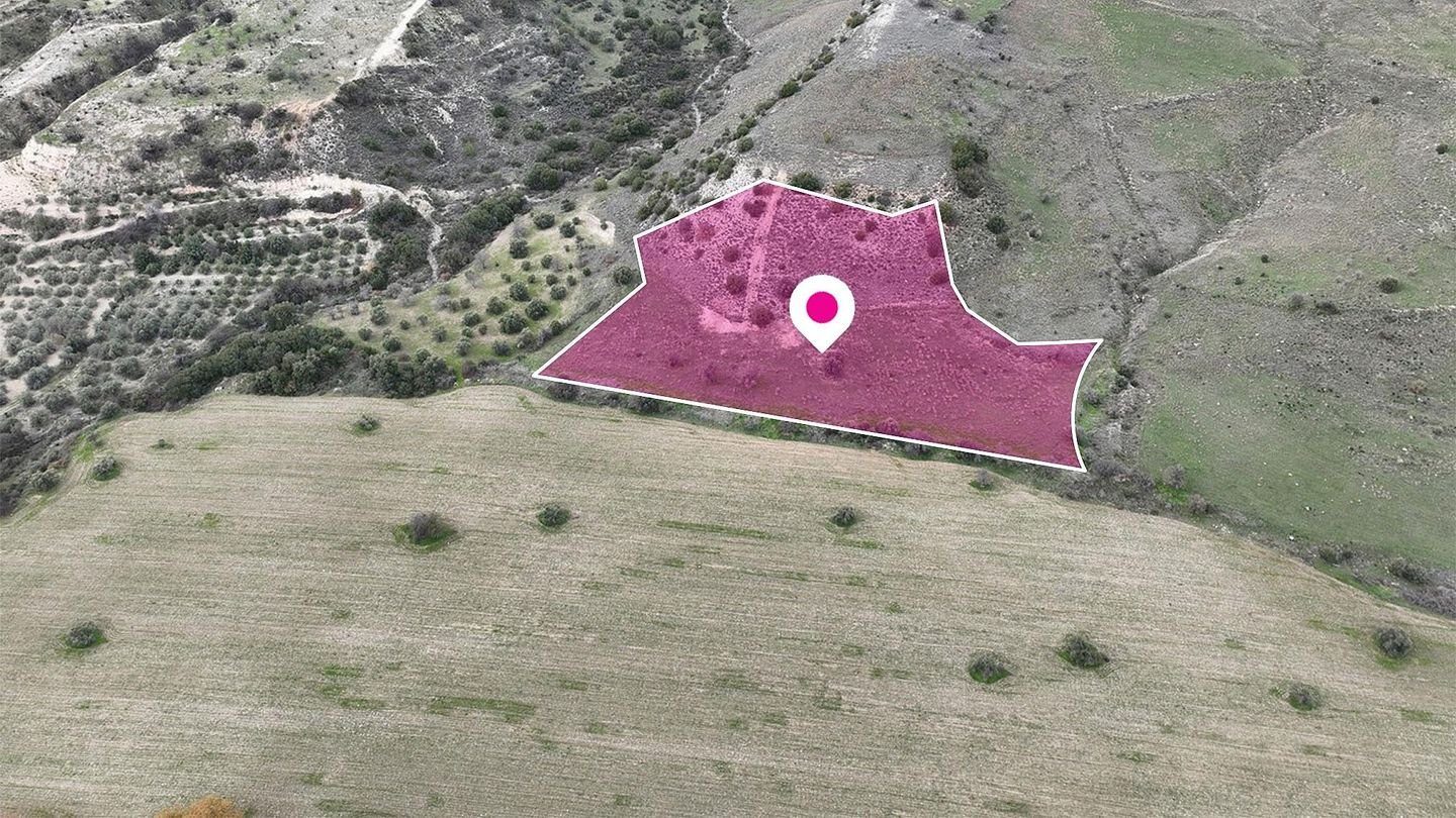 Field in Agios Dimitrianos, Paphos photo 2