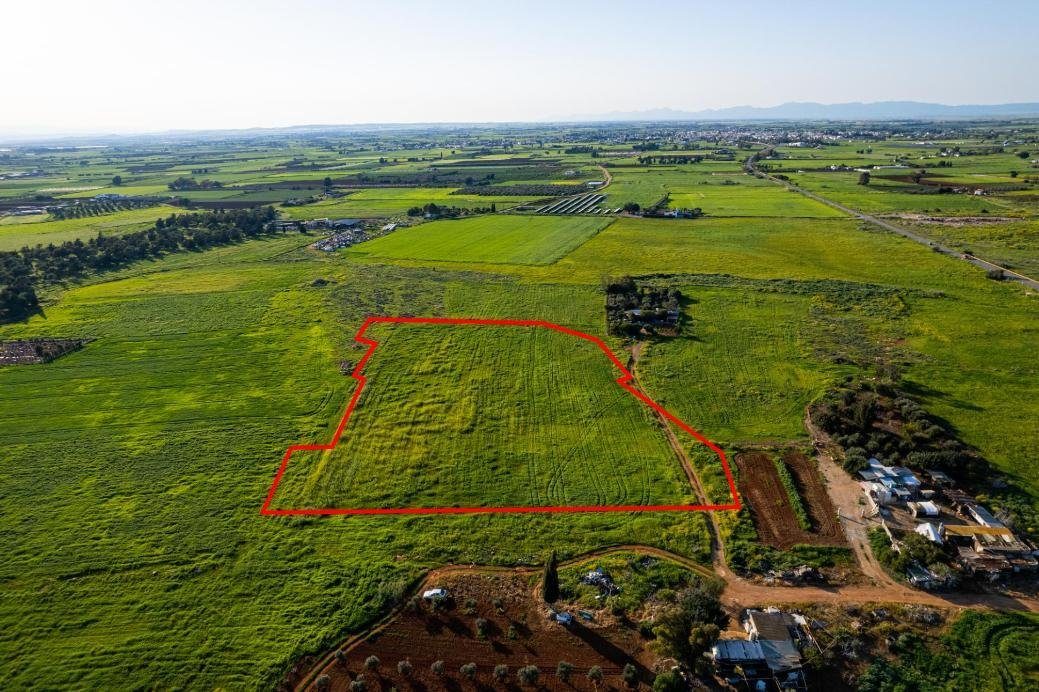 Shared agricultural field in Avgorou, Famagusta photo 4