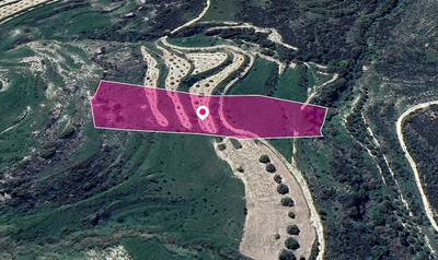 Animal Breeding Zoned Field in Stroumpi, Paphos thumbnail 3