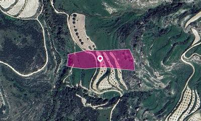 Animal Breeding Zoned Field in Stroumpi, Paphos thumbnail 2