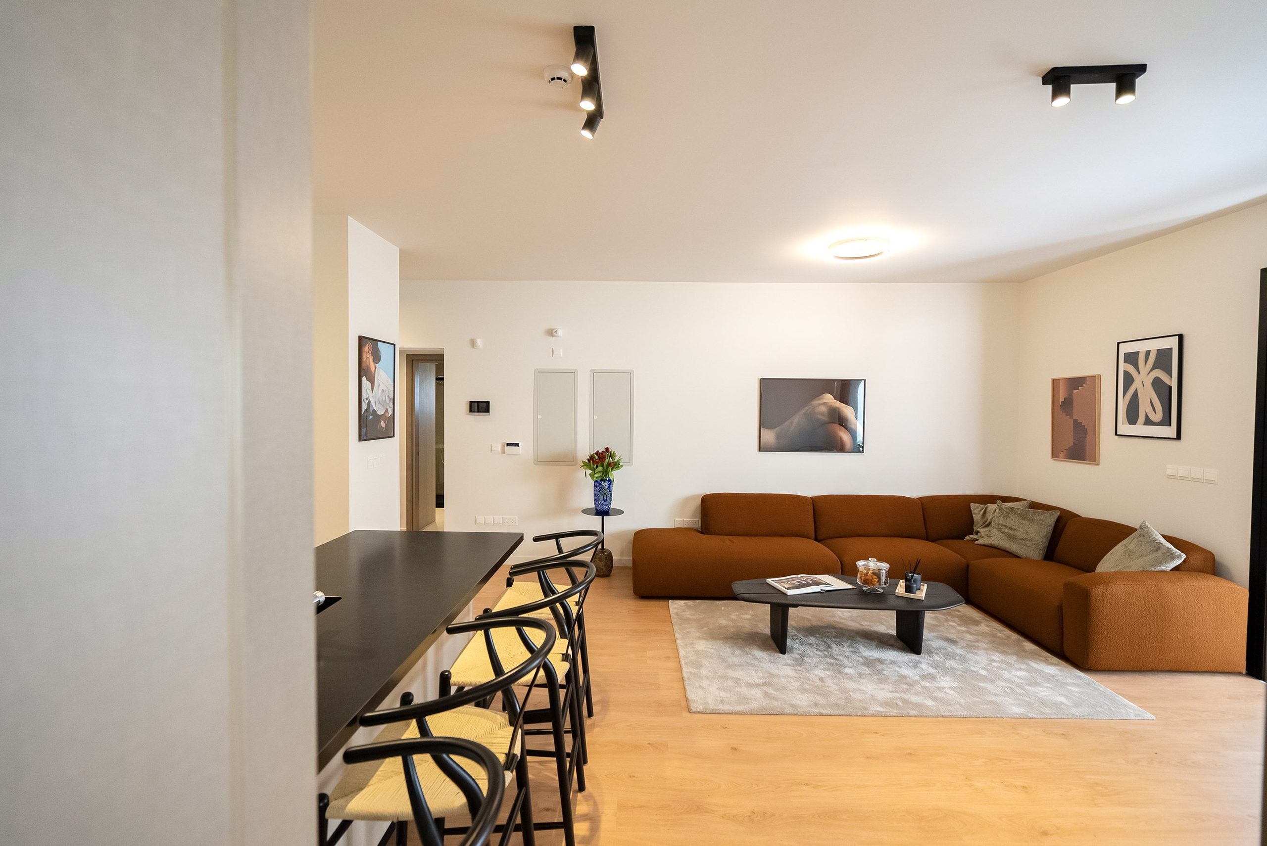 3 BR Apartment in Germasogeia, Limassol photo 3