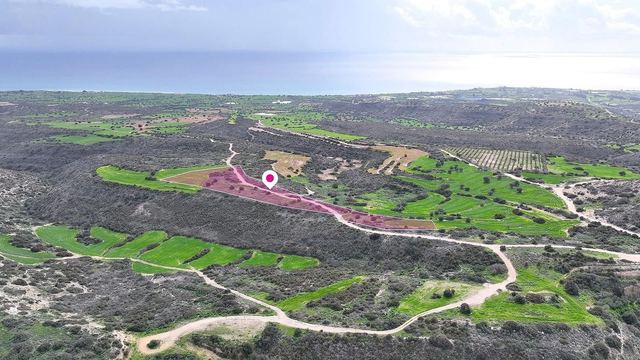 Agricultural field in Agios Theodoros, Larnaca