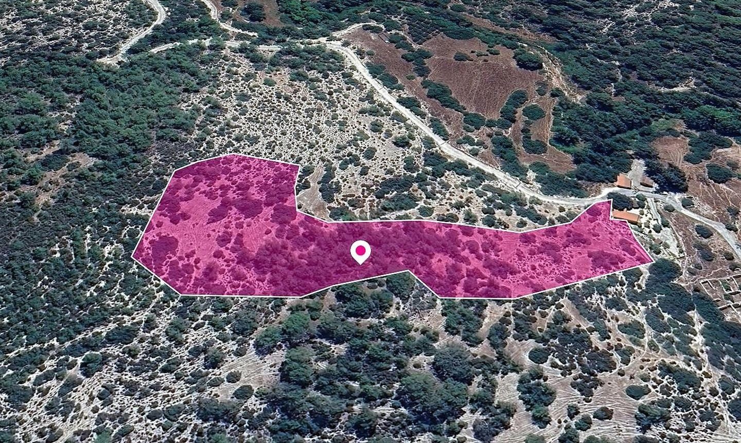 Field in Pano Archimandrita, Paphos photo 3