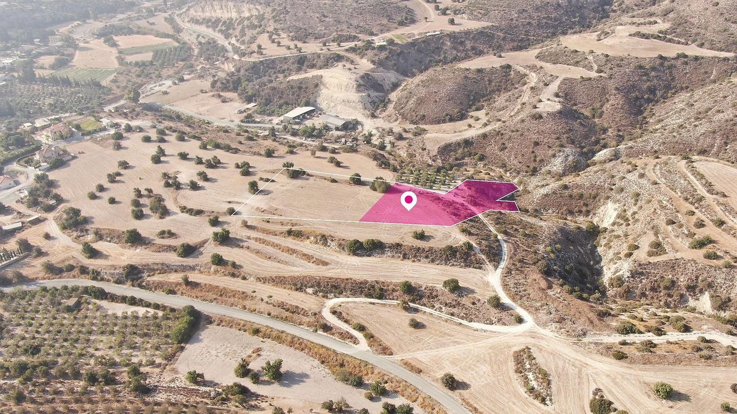 (Share) Residential Field in Agios Theodoros, Larnaca photo 4