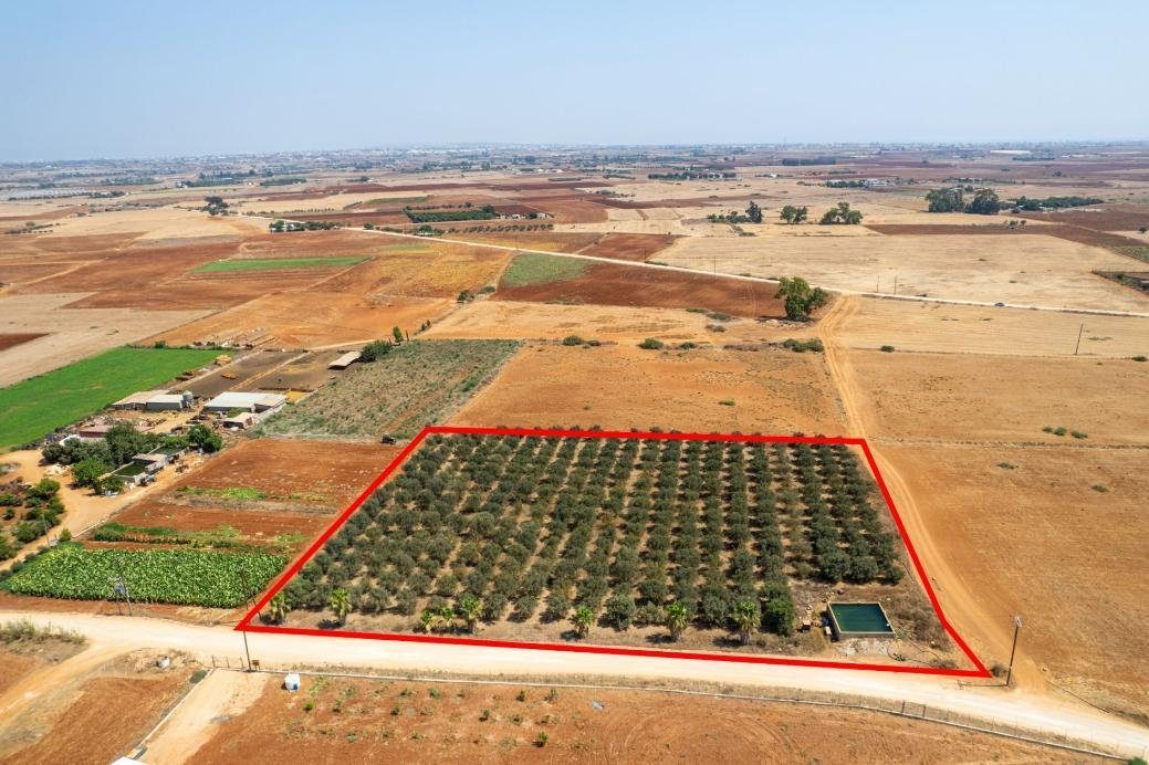 Agricultural field in Avgorou, Famagusta photo 1