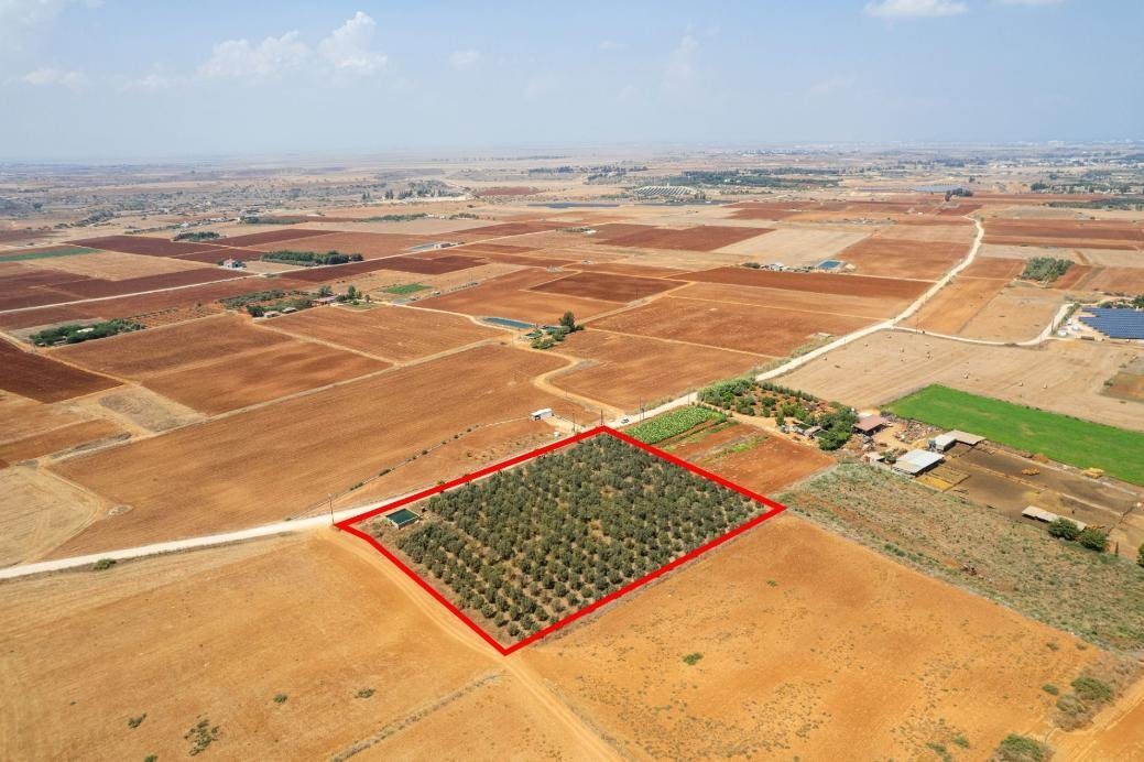 Agricultural field in Avgorou, Famagusta photo 3