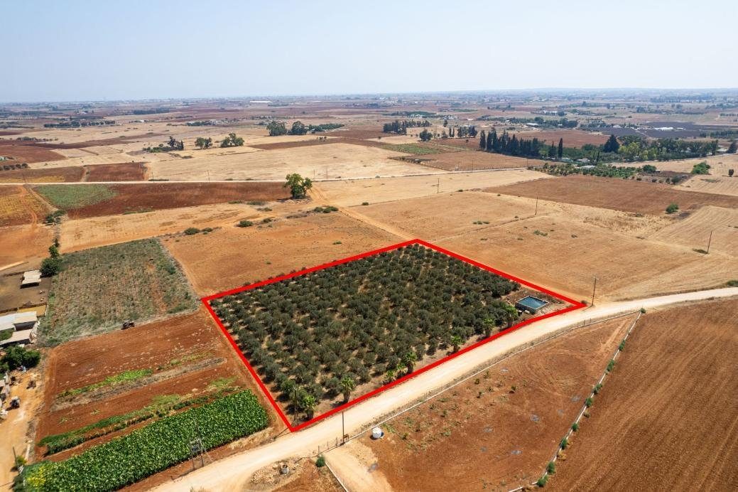 Agricultural field in Avgorou, Famagusta photo 5