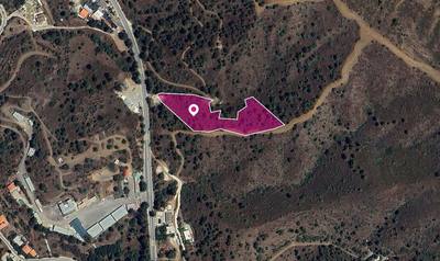 (Share) Agricultural field in Evrychou, Nicosia thumbnail 3