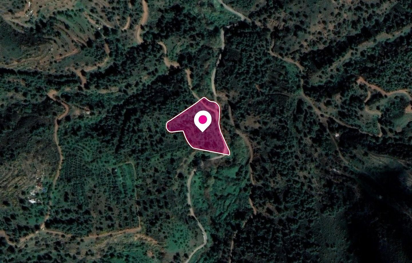Agricultural Field, Kampos photo 1